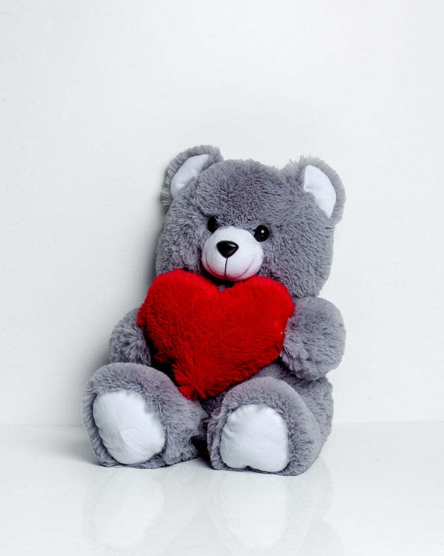 20240812172907_go_gift_loutrino_arkoudaki_grey_50_ek_pluggfmas0007 Go Gift Αρκουδάκια Grey 50 εκ. - Image 1
