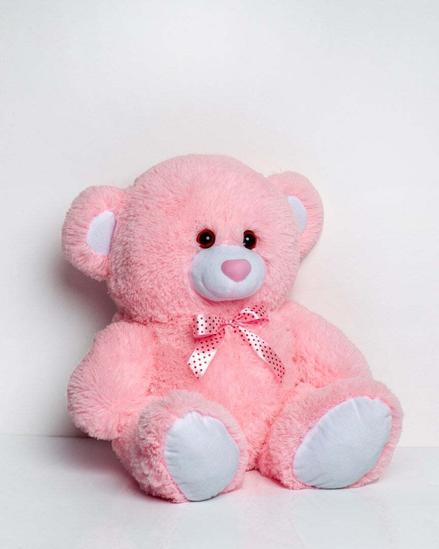 20240812172909_4ad6ee87 Go Gift Αρκουδάκια Pink 65 εκ. - Image 2