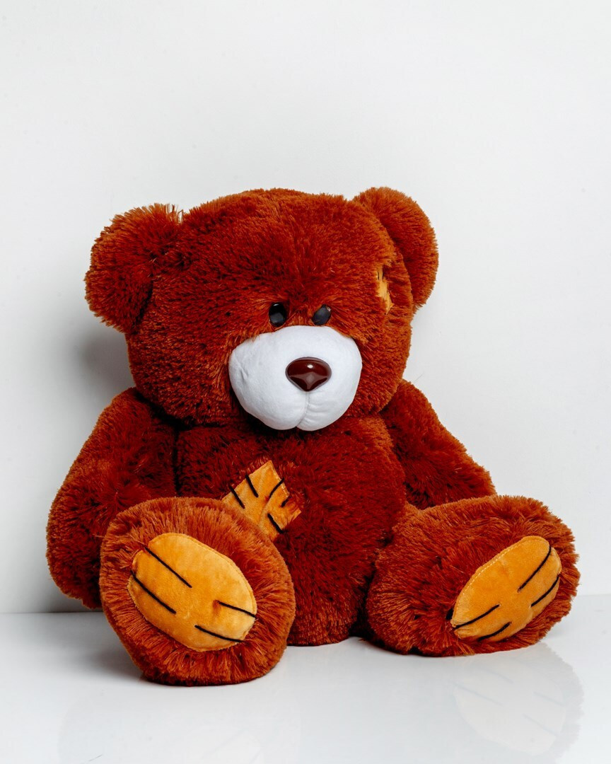 20240812172909_861694dd Go Gift Αρκουδάκια Brown 60 εκ. - Image 2