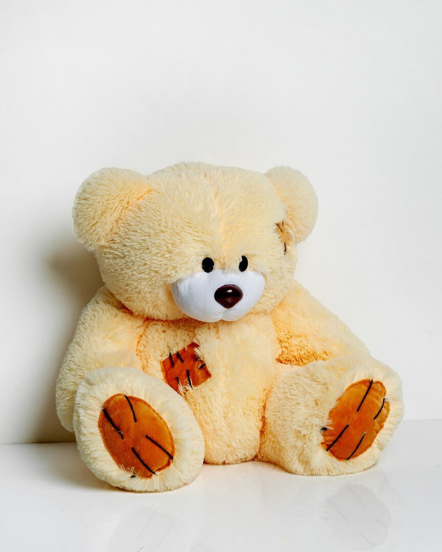 20240812172909_b4abbb18 Go Gift Αρκουδάκια Cream 60 εκ. - Image 2