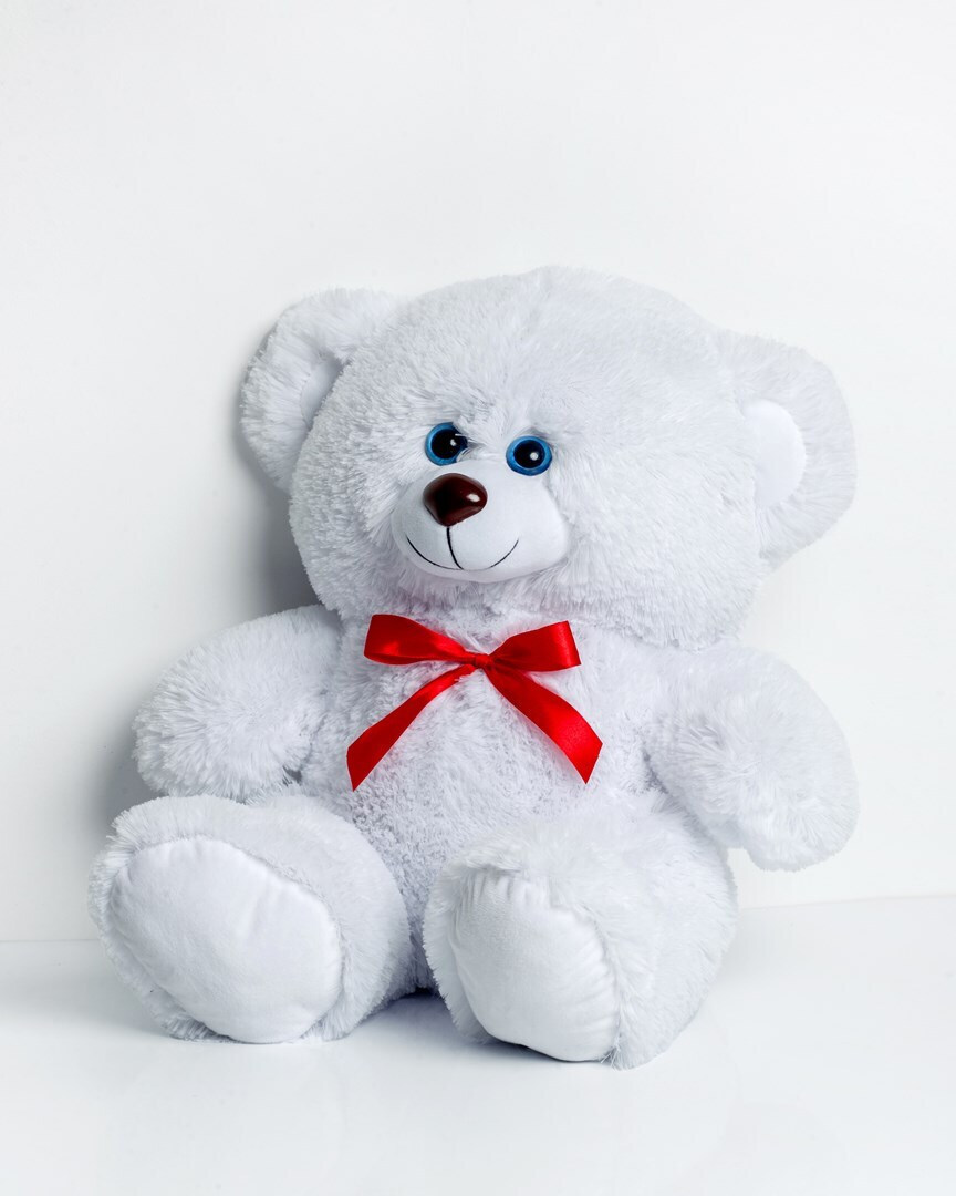 20240814160810_go_gift_loutrino_arkoudaki_65_ek_pluggfmas0013 Go Gift Αρκουδάκι 65 εκ. - Image 1
