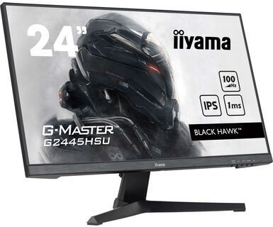 20241122114155_21ec7e31 Iiyama G-MASTER 24" IPS FHD 1920x1080 - Image 2