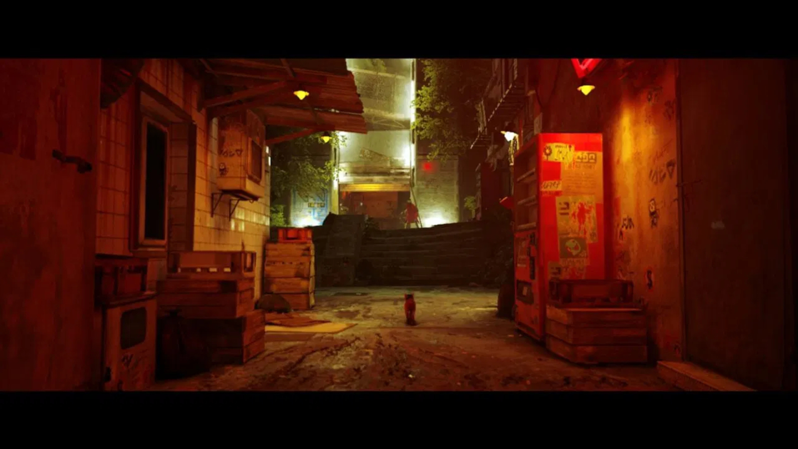 20241129165353_e3bf7d2e Stray - Image 6