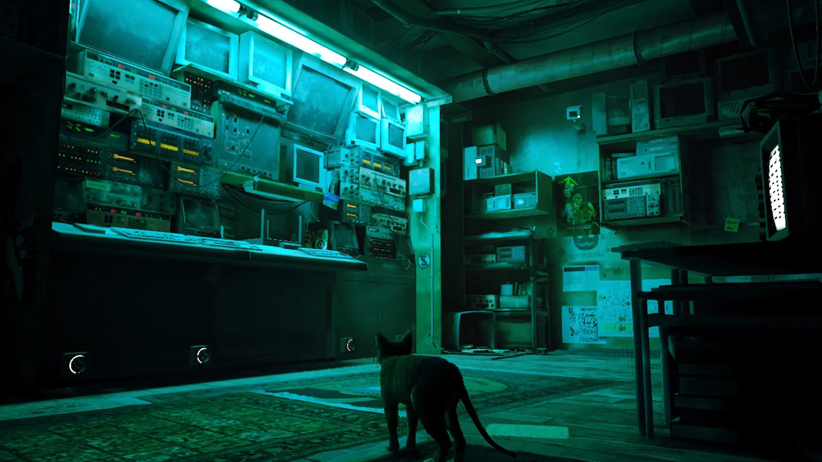20241129165354_c9964c4f Stray - Image 7