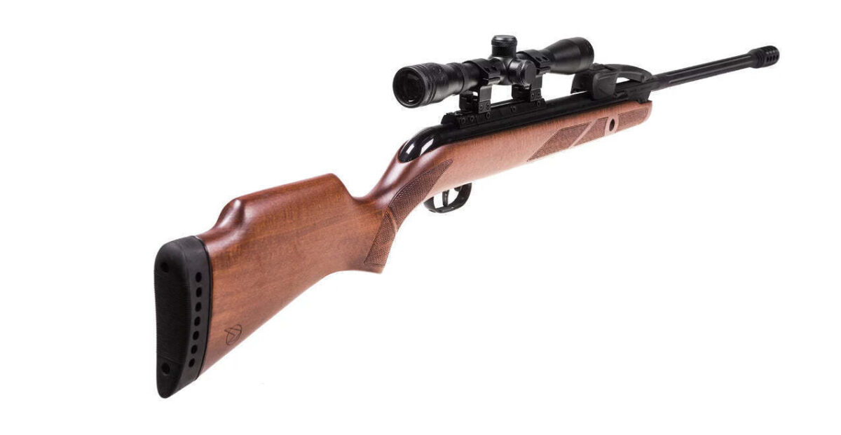 Gamo Αεροβόλο Igt10x Gen2 5mm - Image 3