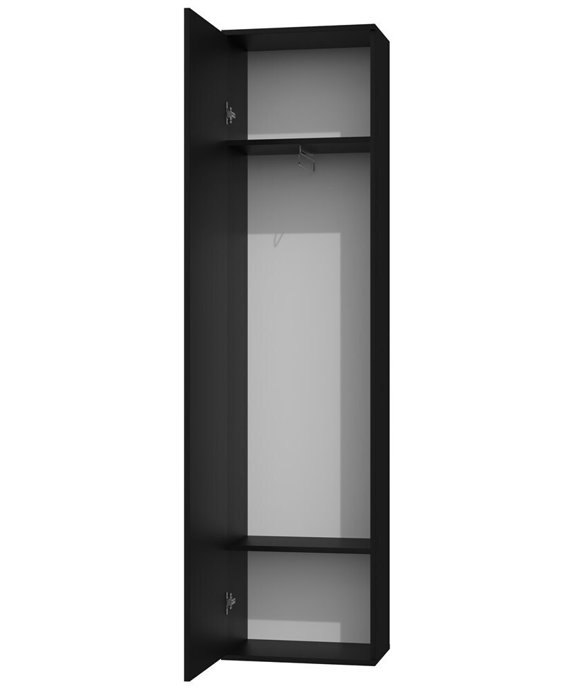 20250127155327_f3479b43 Μονόφυλλη με Καθρέπτη 50x35x180cm CZERŃ - Image 3
