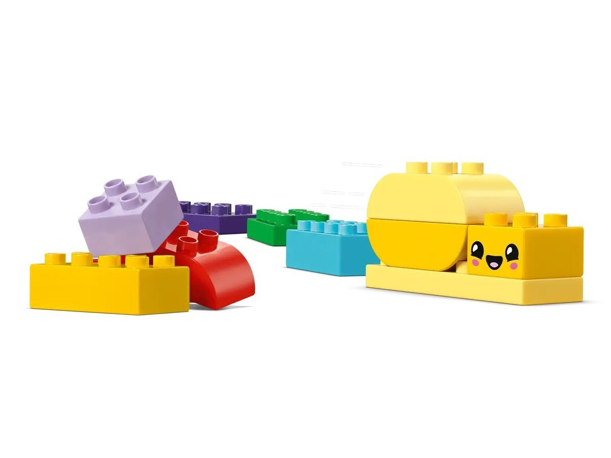 20250221163246_3d05dd0a Lego Duplo Creative Garden & Flowers για 2+ Ετών 45τμχ - Image 6