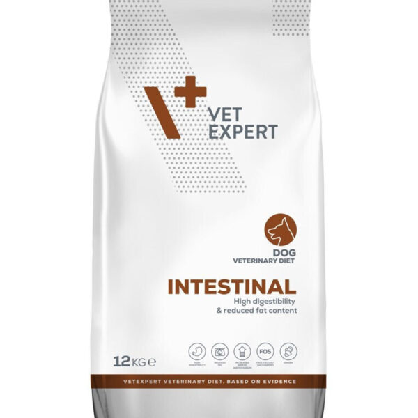 VetExpert Intestinal