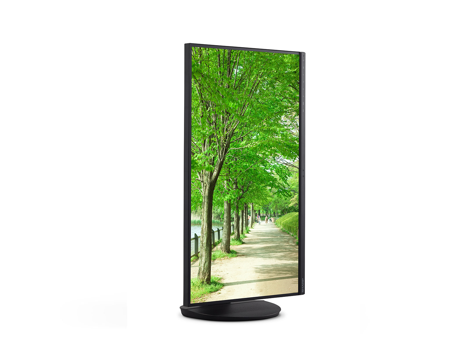 20250414121759_ef1a9e16 Sharp EA272U 27" IPS 4K 3840x2160 - Image 5