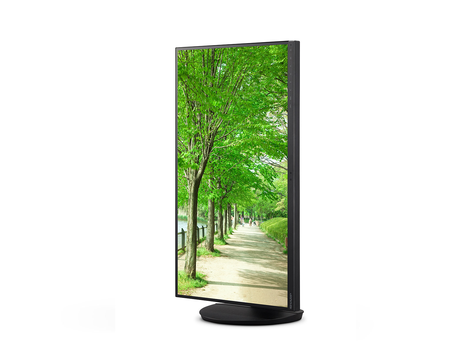 20250414121807_5ddf4ee7 Sharp EA272U 27" IPS 4K 3840x2160 - Image 8