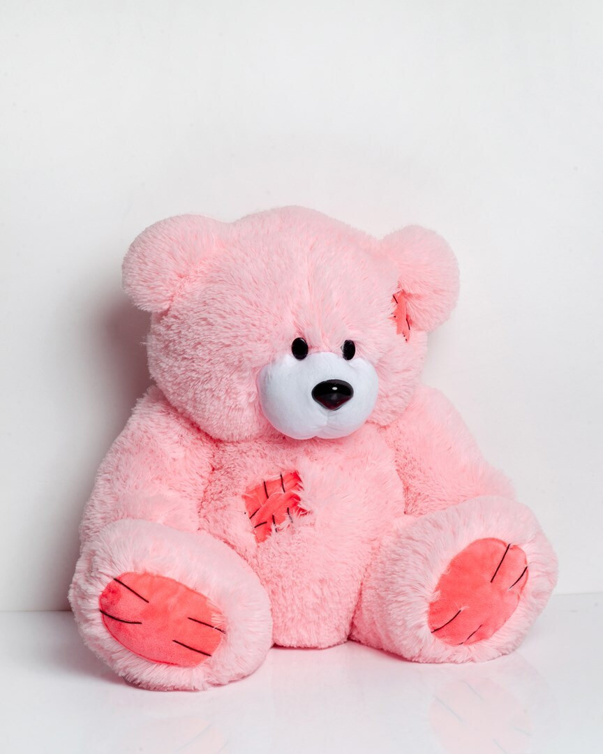 20250514145111_51c26a72 Go Gift Αρκουδάκια Pink 60 εκ. - Image 3