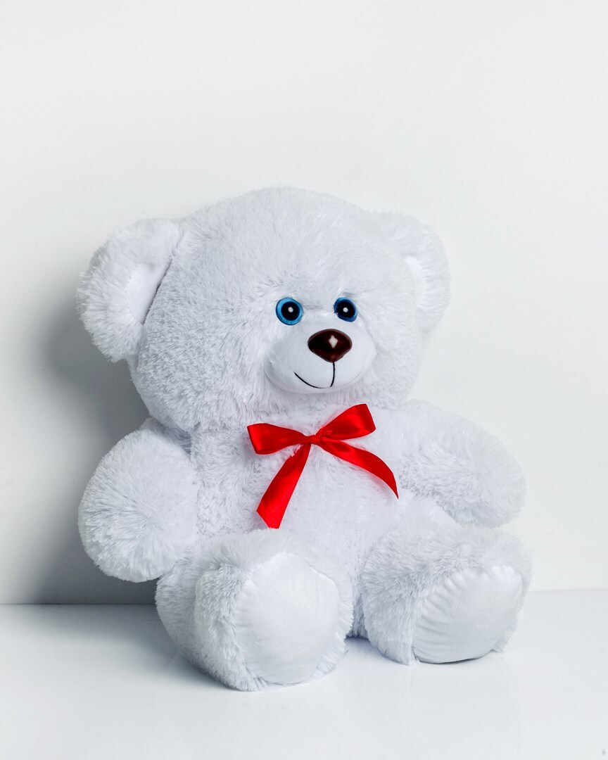 20250514145115_bd4da554 Go Gift Αρκουδάκι 65 εκ. - Image 2