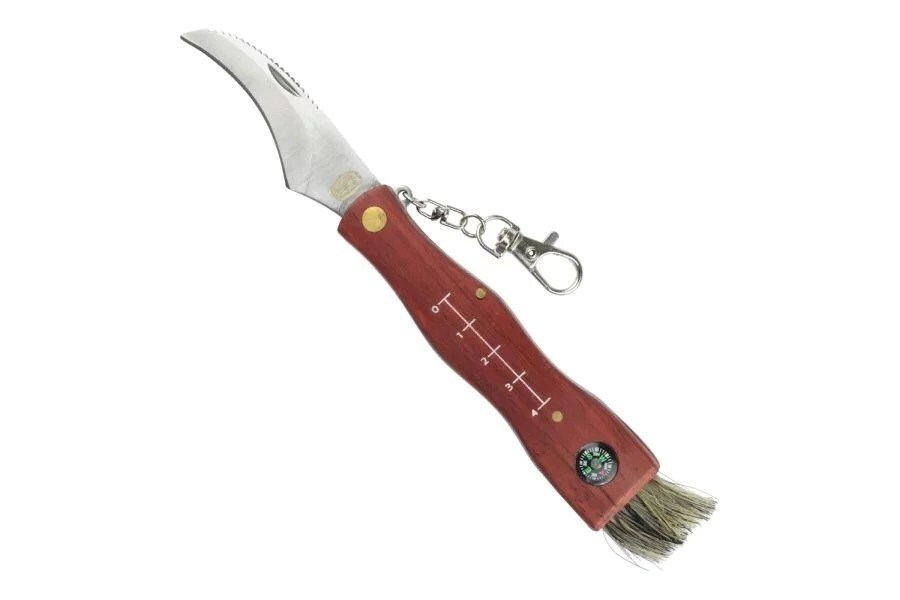 20250606123515_sck_mushrooms_cc_gc105_mushroom_forager_s_knife_compass_brown Sck Mushrooms Cc-gc105 Mushroom Forager's Knife Compass Brown - Image 1