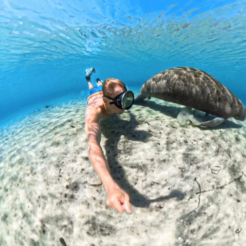 20250624144334_466341cc Insta360 X5 Invisible Dive case CINSBAHJ Θήκη Προστασίας για Insta360 X5 - Image 6