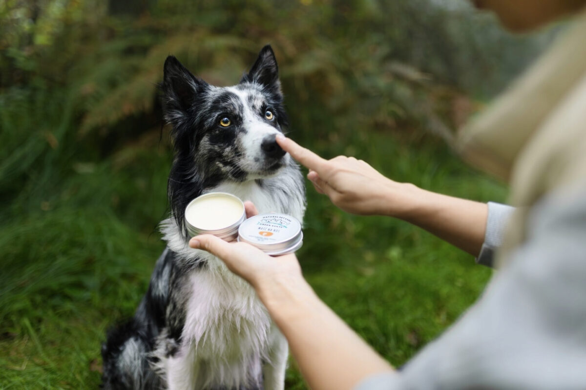 Green Sante Natural Nose Balm Dogs Cats – 60 Ml - Image 4