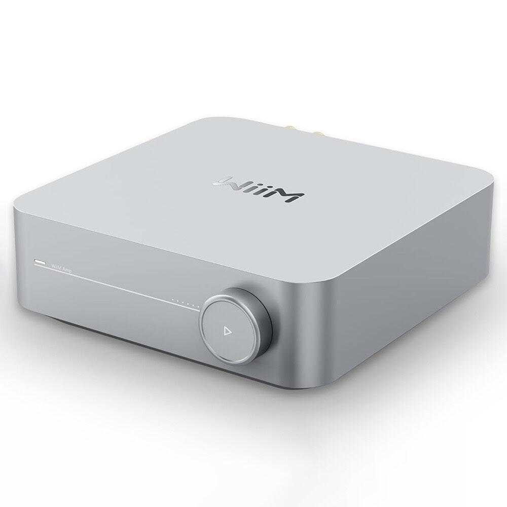 20250805132045_187c47c3 WiiM Phono Preamp Ασημί - Image 5