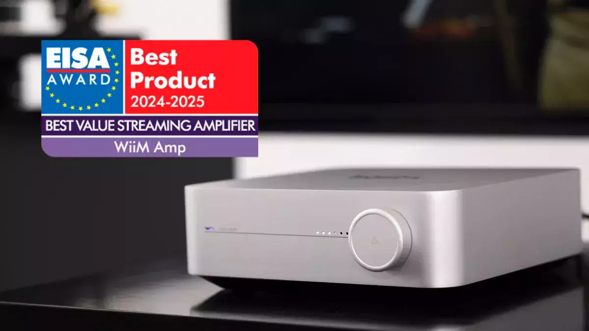 20250805132045_d9ccd255 WiiM Phono Preamp Ασημί - Image 4