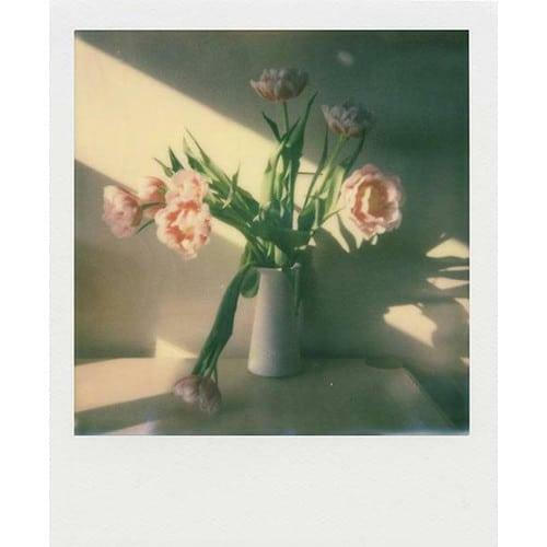 20250825165810_ad9643ae Polaroid I-type Instant - Image 3