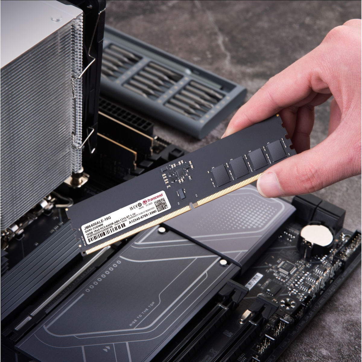 20251008121106_f06fd9ab Transcend JetRAM DDR5 - Image 2