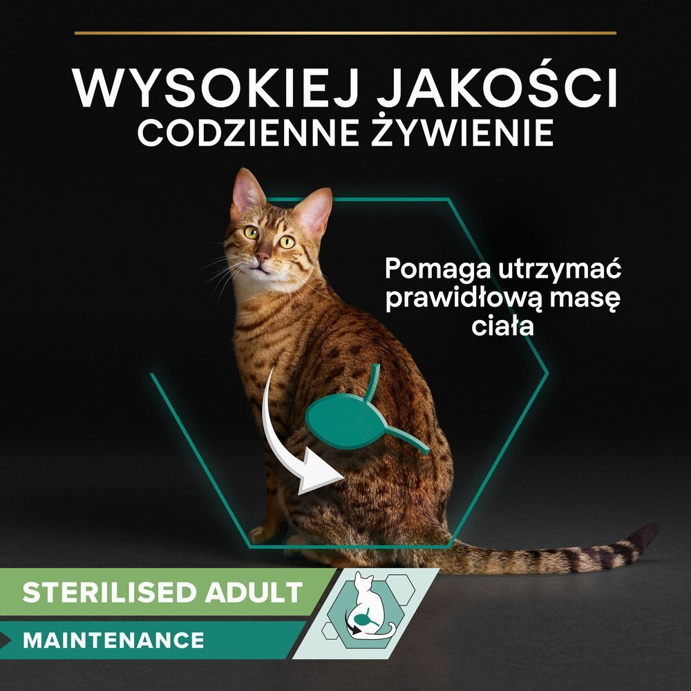 20251010105444_c8e293f9 Purina One Υγρή Τροφή 26x85gr - Image 3