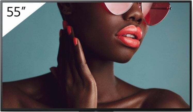 Sony Bravia Professional Displays Public Display LED 55" HDR