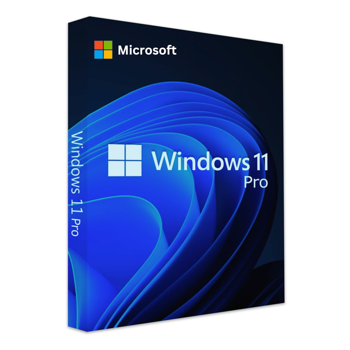 Microsoft Windows 11 Pro Installation Kit USB 1 Licence Multi-Language