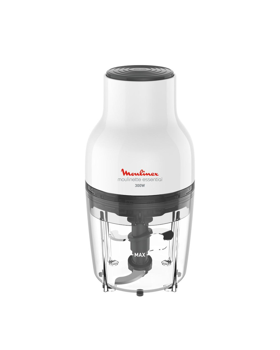 Moulinex Moulinette Essential Πολυκόπτης Multi 300W με Δοχείο 400ml