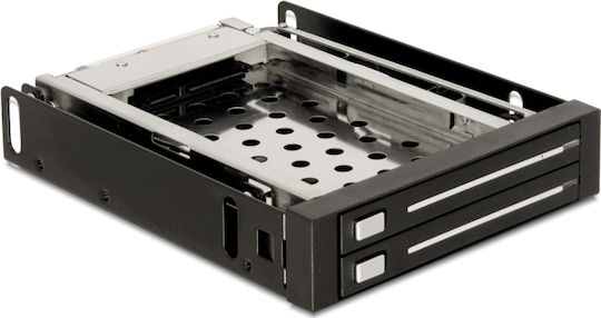 DeLock 3.5″ Mobile Rack for 2 x 2.5″ SATA Μαύρο 47189