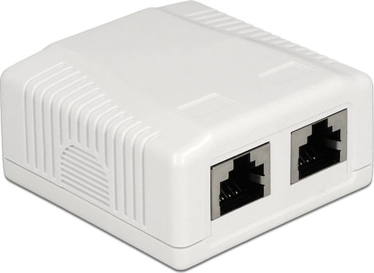 DeLock Εξωτερική Διπλή Πρίζα Δικτύου RJ45 Τύπου Cat6 σε Λευκό Χρώμα 86197