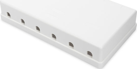 Digitus Consolidation-Point Box for 6x Keystone Jacks