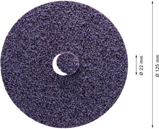 Bosch 2608901268 Φύλλο Λείανσης Έκκεντρου Τριβείου 125x125mm