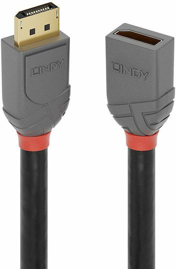 Lindy Cable DisplayPort male - DisplayPort female 1m Μαύρο (36496)