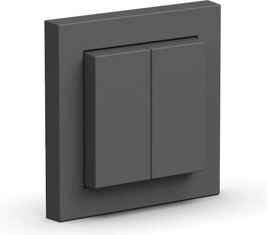 Χωνευτός Διακόπτης Τοίχου Διπλός με Πλαίσιο Γκρι 100158