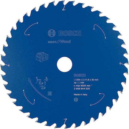 Bosch Expert Δίσκος Κοπής Ξύλου 254mm 2608644525