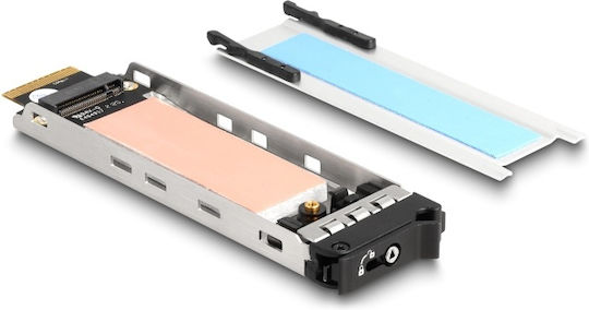 Delock 47037 Drive Bay Πίνακας Πλαίσιο Δίσκου Αποθήκευσης Μαύρος Μαύρο Μεταλλικός