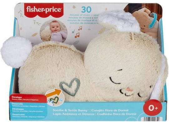 Fisher Price Ζωάκι Κουνελάκι από Ύφασμα με Μουσική για Νεογέννητα 274845