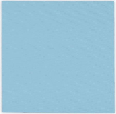 Thermal Grizzly Thermal Pad TG-MP-P-100-100-10