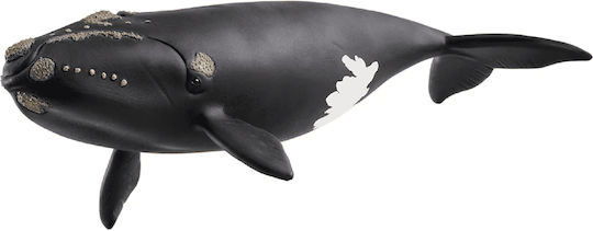 Schleich-S North Atlantic Right Whale για 3+ Ετών 19εκ. 14878