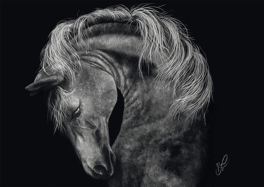 Puzzle 2D 1000pcs 58543