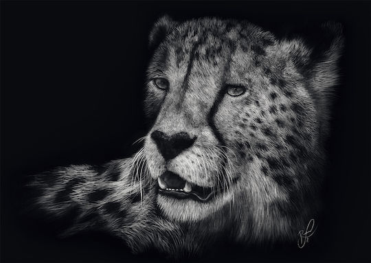 Puzzle 2D 1000pcs 58542