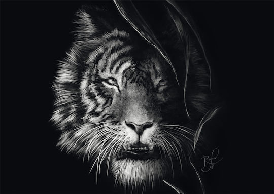 Puzzle 2D 1000pcs 58541