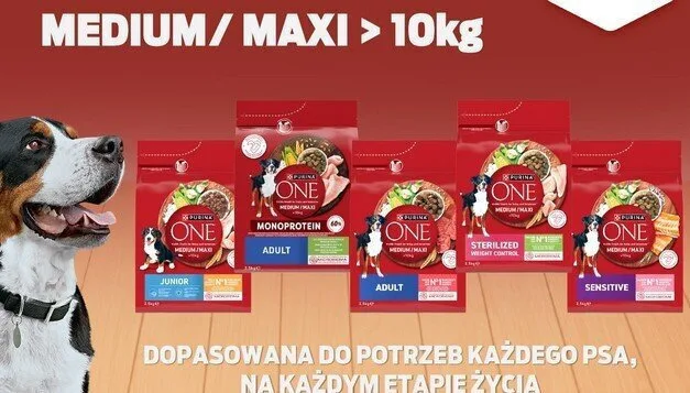 Purina One 7kg Ξηρά Τροφή Σκύλων με Κοτόπουλο και Ρύζι - Image 1