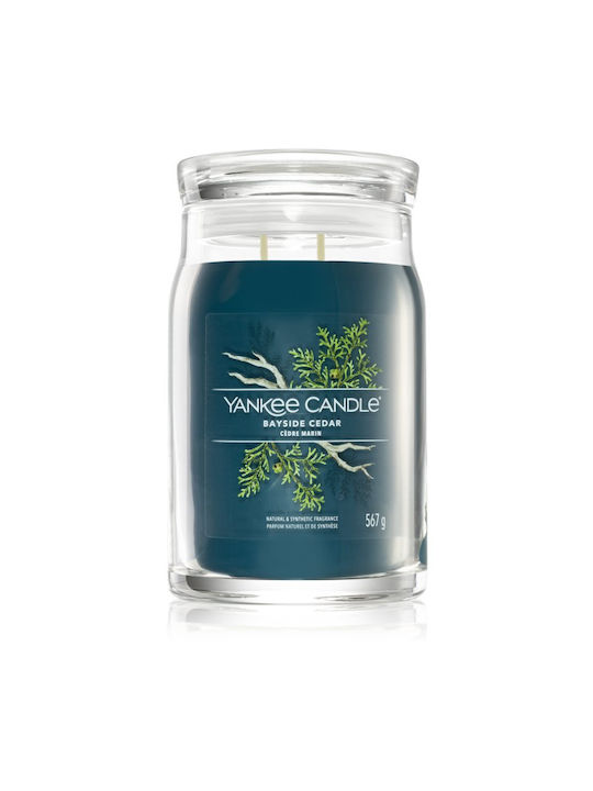 Yankee Candle Αρωματικό Κερί σε Βάζο με Άρωμα Bayside Cedar 567gr