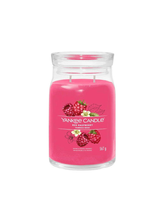 Yankee Candle Αρωματικό Κερί σε Βάζο με Άρωμα Red Raspberry Κόκκινο 567gr 1701375
