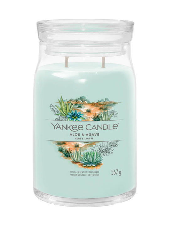 Yankee Candle Αρωματικό Κερί σε Βάζο με Άρωμα Aloe & Agave 567gr