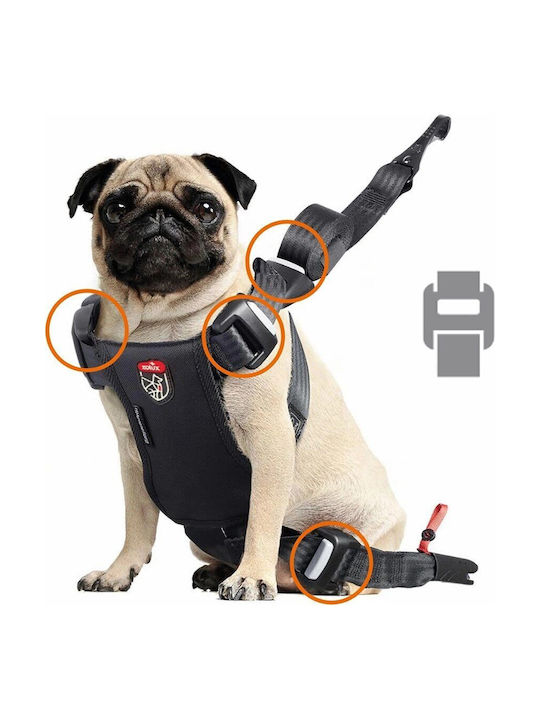 Zolux Travel Safe S Red Dog Harness