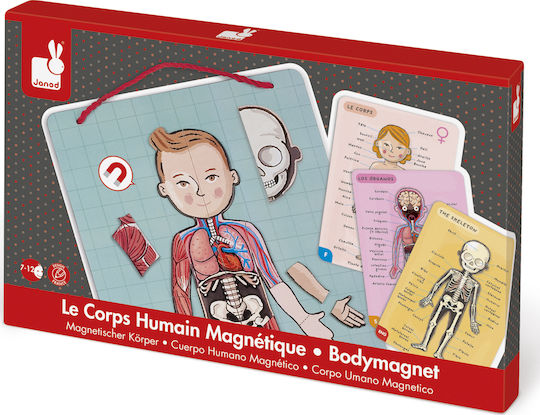 Επιτραπέζιο Παιχνίδι Body Magnet 7+ Ετών J05491 (FR) Janod