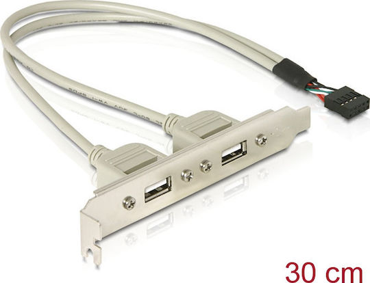DeLock 10pin USB - 2x USB 2.0 female