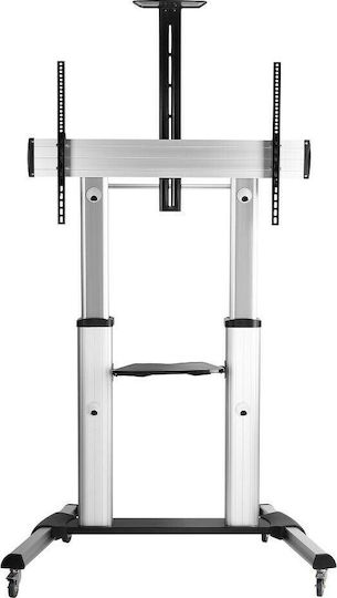 Techly ICA-TR24 Δαπέδου έως 100" και 100kg