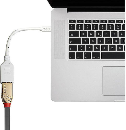 Lindy Μετατροπέας mini DisplayPort male σε DisplayPort female Λευκό 1τμχ 41021